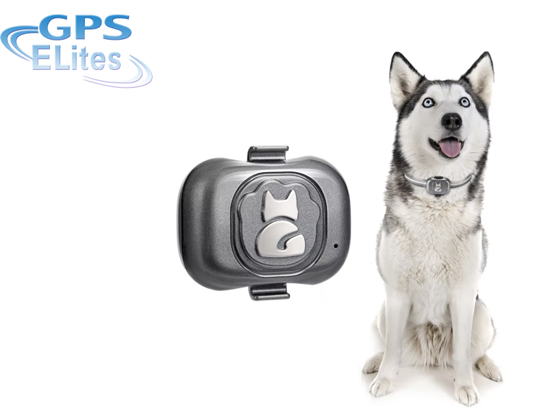 Super Mini Pet GPS Tracker Chip G16 Pet Finder Locator Smallest Waterproof Anti-lost Tracking Smart Collar Dog Cat Metal et-pt01